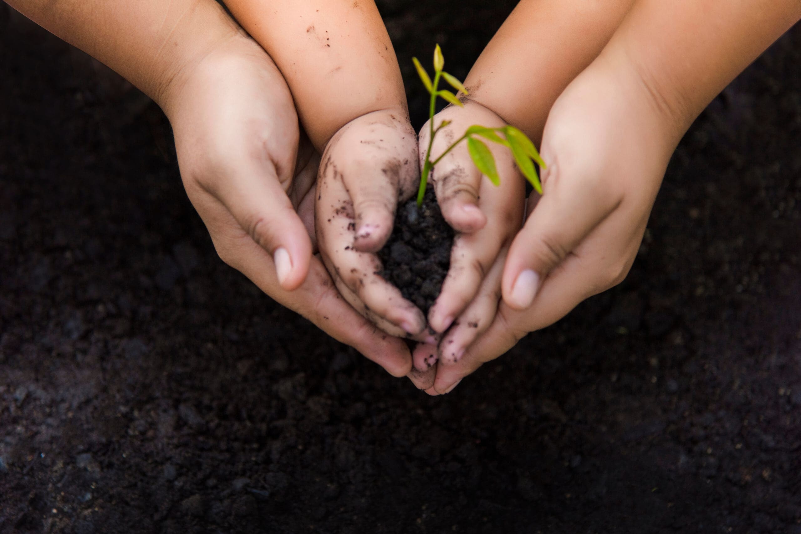 12 Principles of Personal Leadership – Part 1